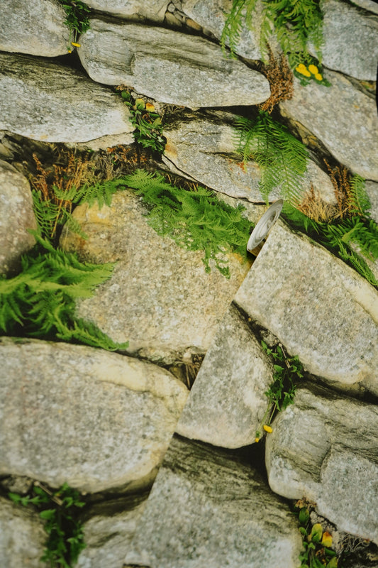 Natural Stone with Grass Wallpapers 3D Design Not Self Adhesive 53 Cm X 1000 Cm for PVC Vinyl Coated for Wall Bedroom Living Room Latest Stylish for Home Decoration (Grey & Green, 57 Sqft Roll) (NW-01)