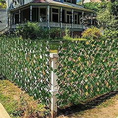 Vertical Garden (5ft x 10ft)