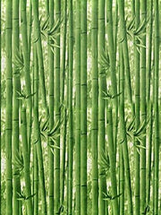 Infidecor Self Adhesive Decorative Bamboo Wallpaper/Waterproof PVC Vinyl Wallpaper for Bedroom, Living Room, Dining Hall, Master Room (45cm X 500cm)