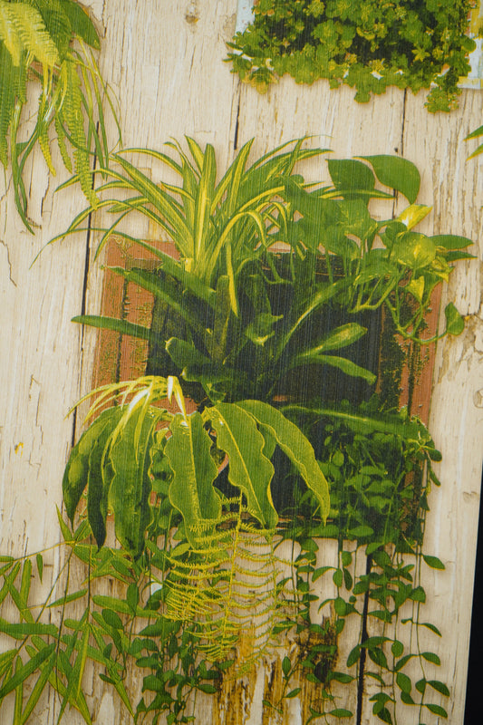 Wooden Pannel  with Plants Hanging Designe Wallpaper  Not Self Adhesive 53 Cm X 1000 Cm for PVC Vinyl Coated for Wall Bedroom Living Room Latest Stylish for Home Decoration (Grey & Green , 57 Sqft Roll) (NW-25)