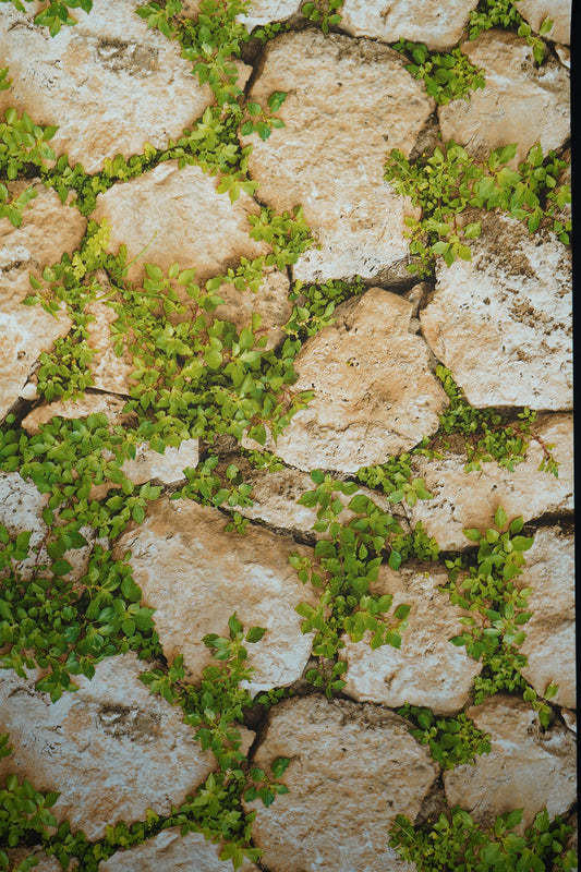 Natural Stone with Grass Wallpapers 3D  Design Not Self Adhesive 53 Cm X 1000 Cm for PVC Vinyl Coated for  Wall Bedroom Living Room Latest Stylish for Home Decoration (Grey & Green, 57 Sqft Roll) (NW-02)