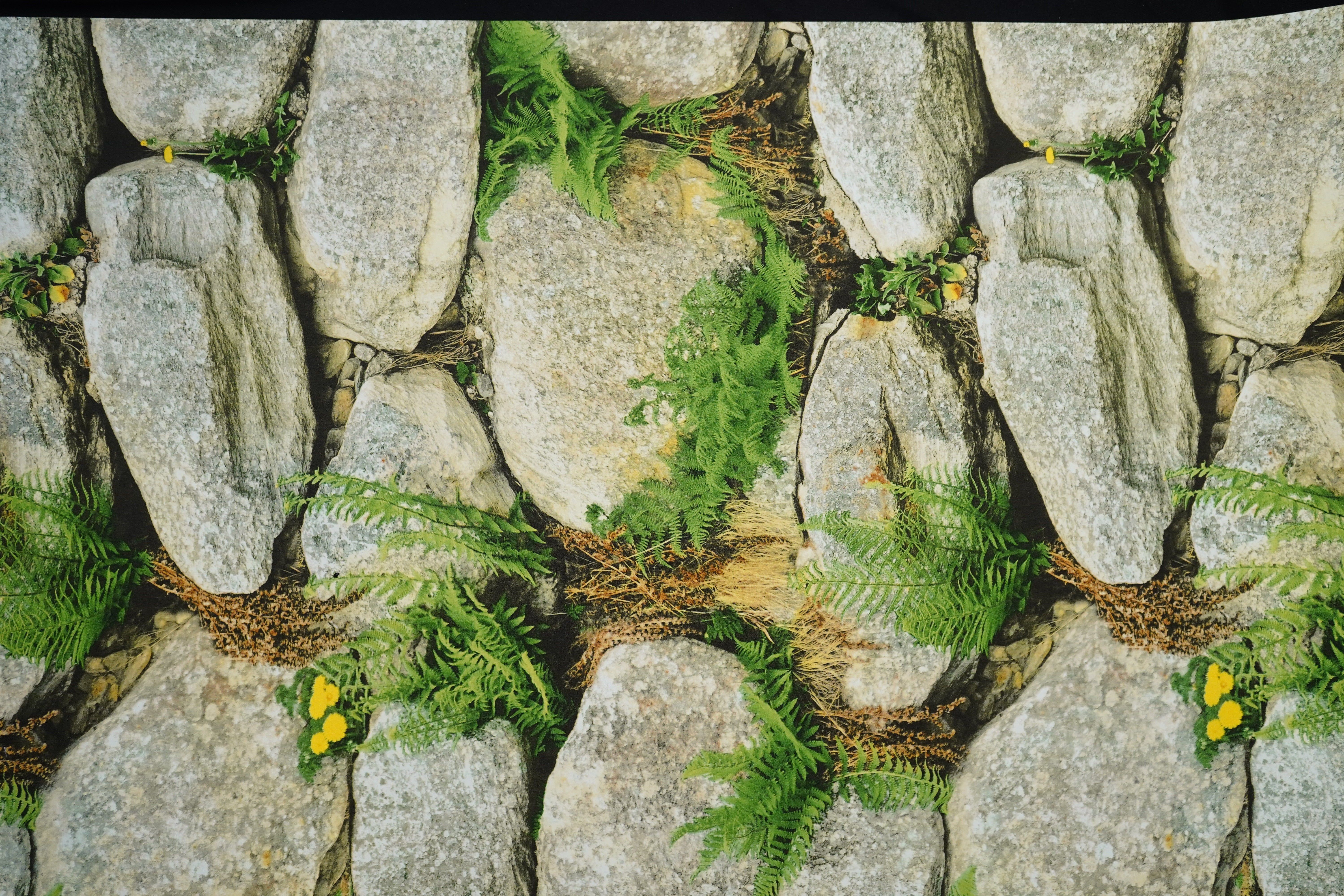 Natural Stone with Grass Wallpapers 3D  Design Not Self Adhesive 53 Cm X 1000 Cm for PVC Vinyl Coated for  Wall Bedroom Living Room Latest Stylish for Home Decoration (Grey & Green, 57 Sqft Roll) (NW-01)